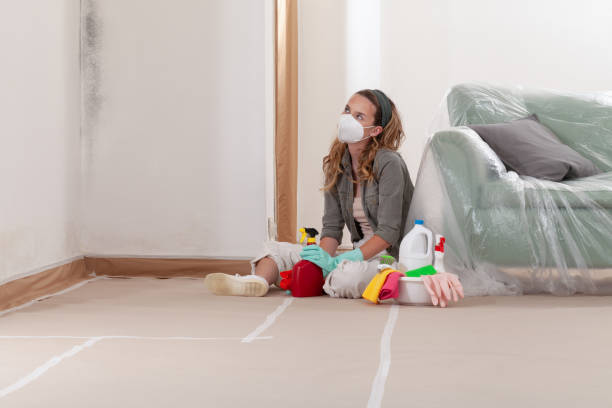 Reliable Mold Remediation contractor in Colorado, CO by WQB Mold Removal